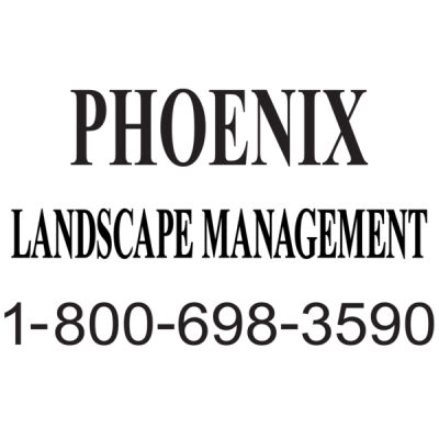 Vinyl Cut Word Mark & Number Thumbnail