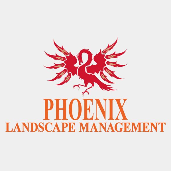 orange_hat Thumbnail